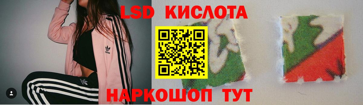 ЛСД экстази кислота  LSD-25 экстази кислота  Волхов  Вход с VPN 