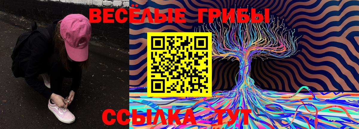 Галлюциногенные грибы Psilocybine cubensis  Вход с VPN  где купить   Псилоцибиновые грибы GOLDEN TEACHER  Волхов 