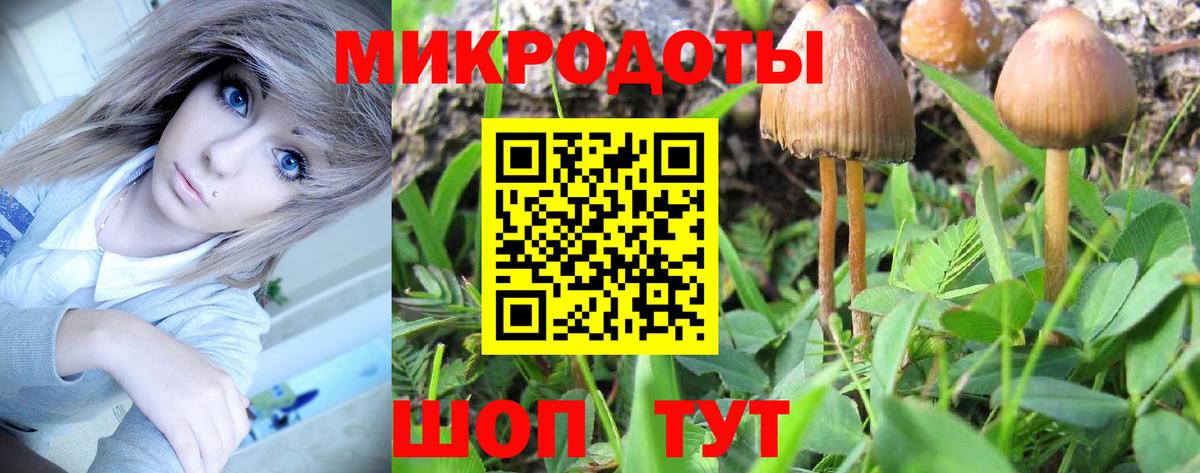 Галлюциногенные грибы ЛСД Волхов